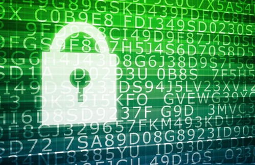 軟件開發與網絡安全 轉型、差旅與專業融合之路